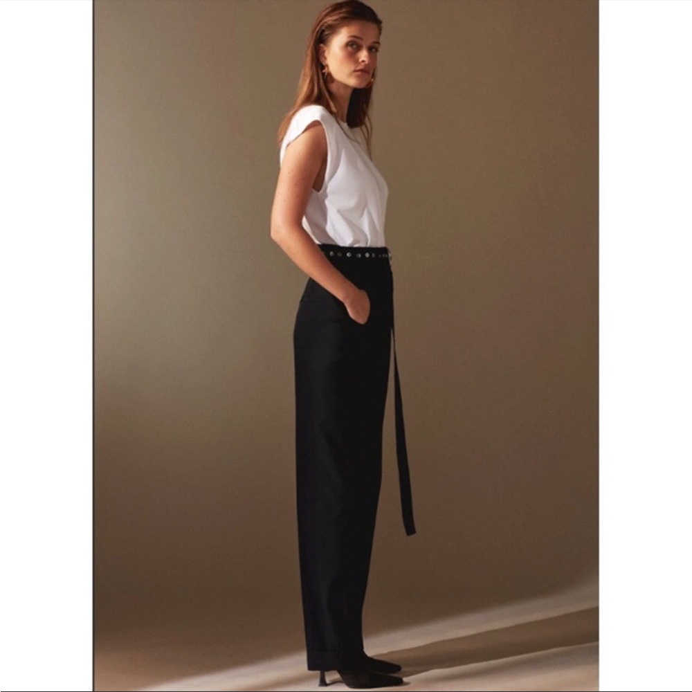 Aritzia babaton 1-01 pants